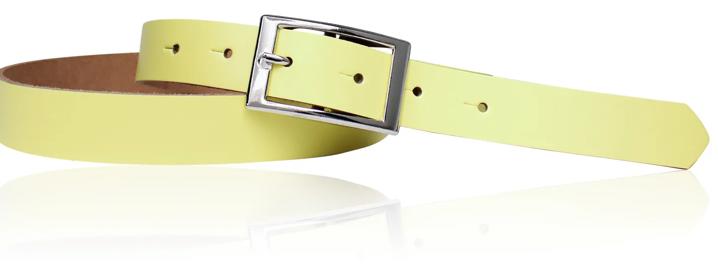 Günstiger Damen Ledergürtel 2,5 cm, silberne Gürtelschnalle, echt Leder