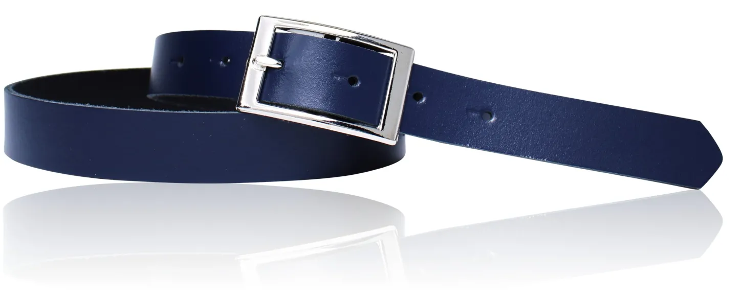Günstiger Damen Ledergürtel 2,5 cm, silberne Gürtelschnalle, echt Leder
