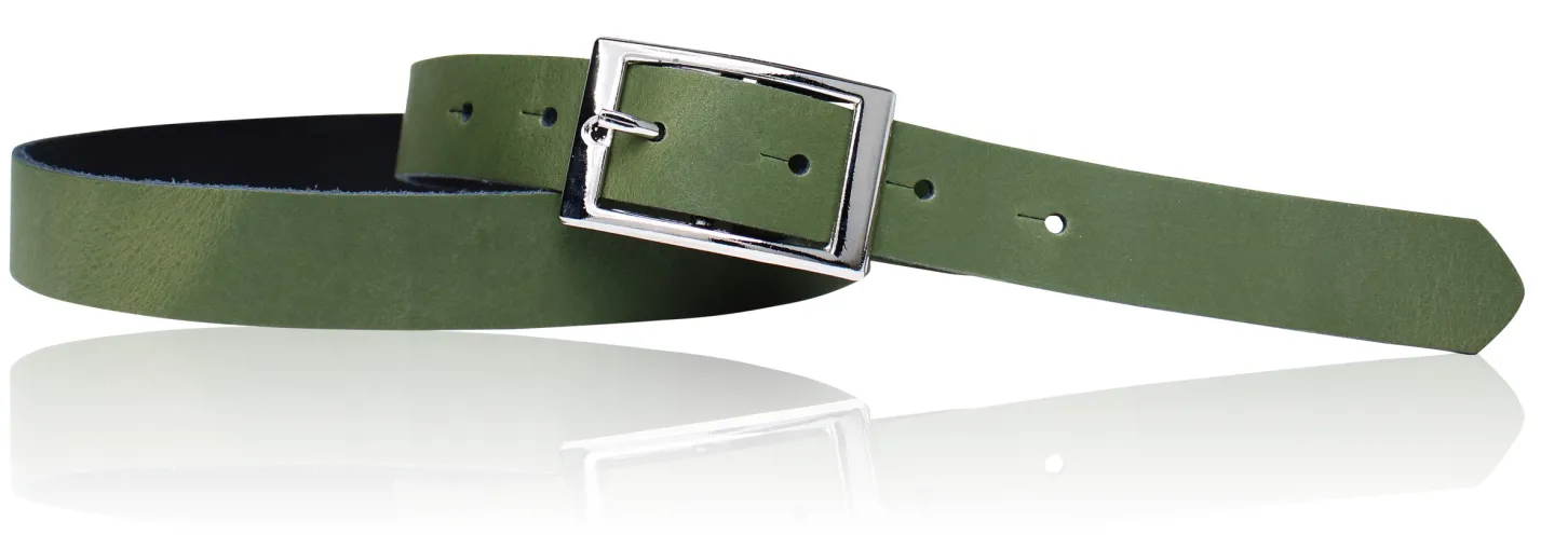 Günstiger Damen Ledergürtel 2,5 cm, silberne Gürtelschnalle, echt Leder